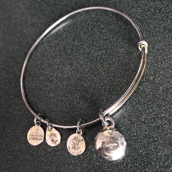 Alex and Ani Silver Expandable Wire Bracelet - Picture 12 of 15
